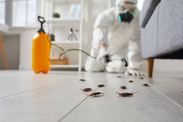 Commercial Kitchen Cockroach Control in Kutztown University